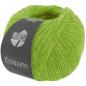 Preview: Ein Knäuel Ecopuno Farbe 215 Frühlingsgrün